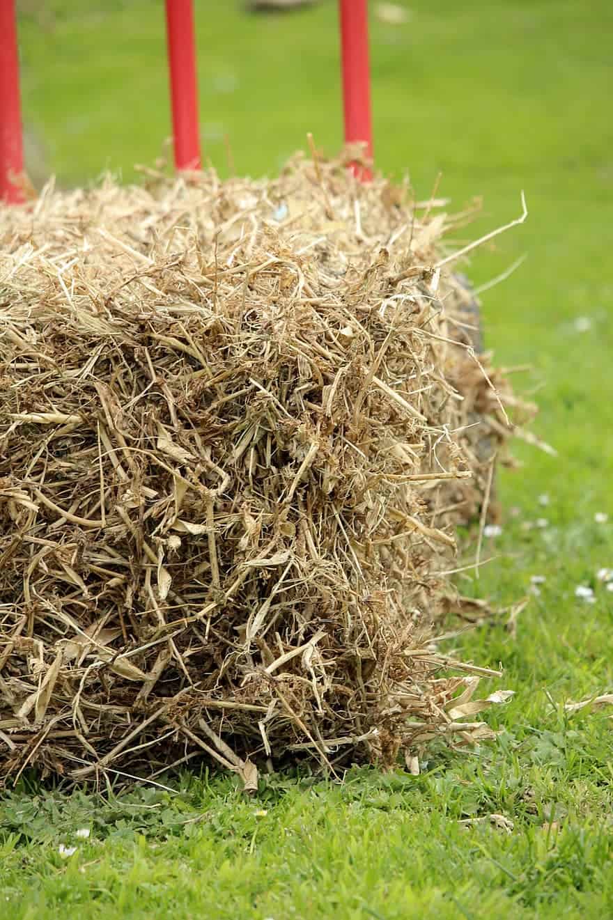 Curious to know if straw mulch is what your Wexford or Zelienople garden needs? Contact Lawns & Beyond to learn more!
