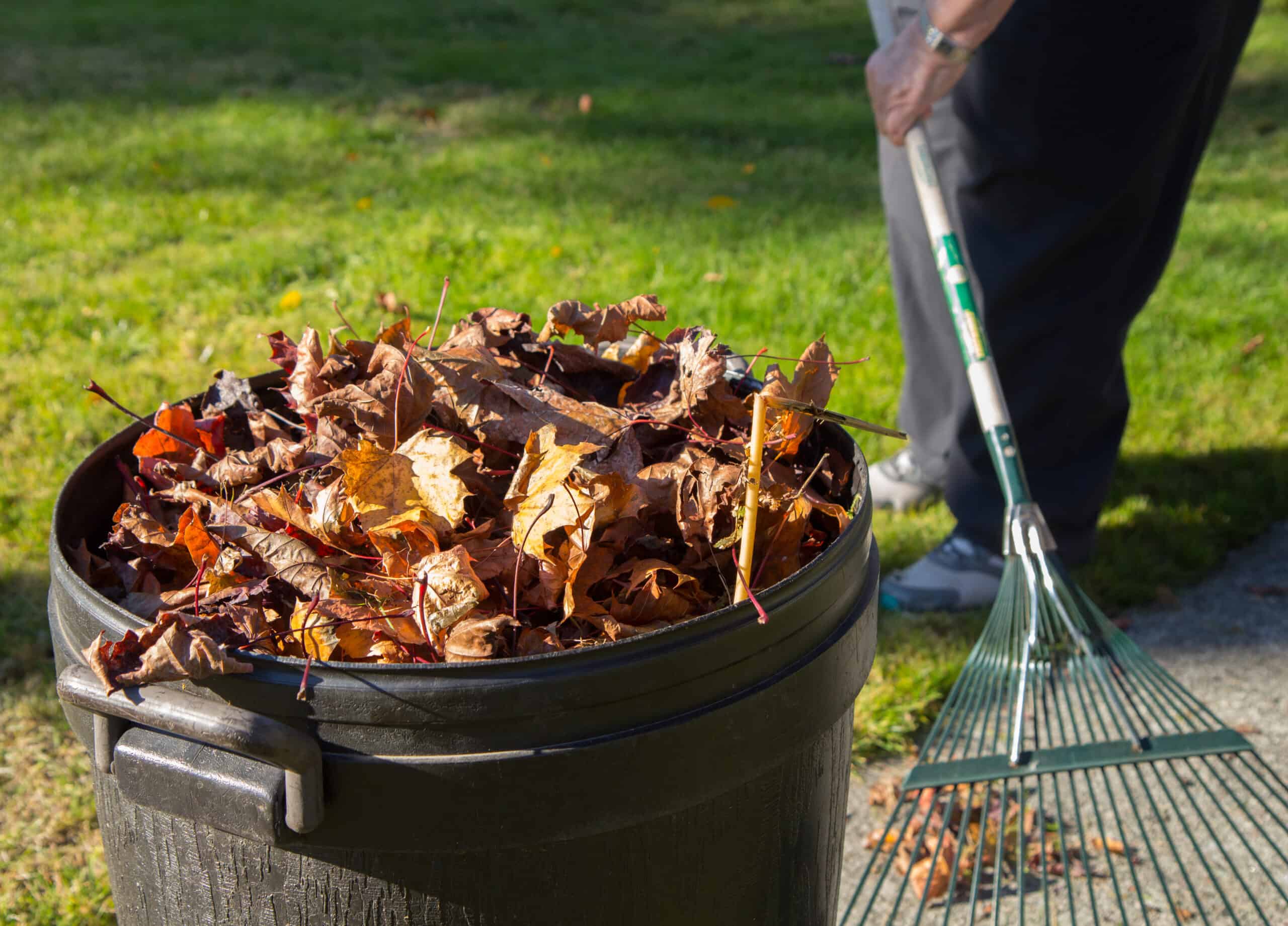 Schedule lawn cleanup and leaf removal services in Pennsylvania to create a clean and comfortable outdoor living space
