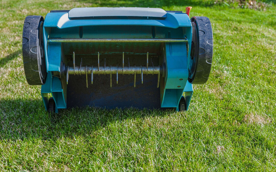 Healthy in PA: Residential Lawn Aeration Benefits