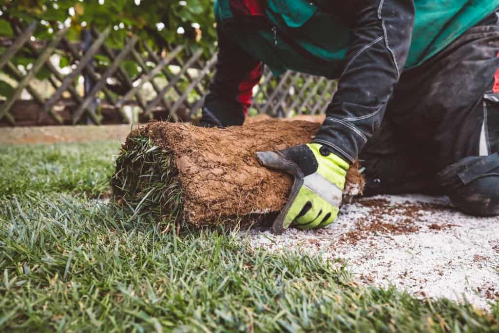 Professional sod installation allows your property to flourish despite the weather