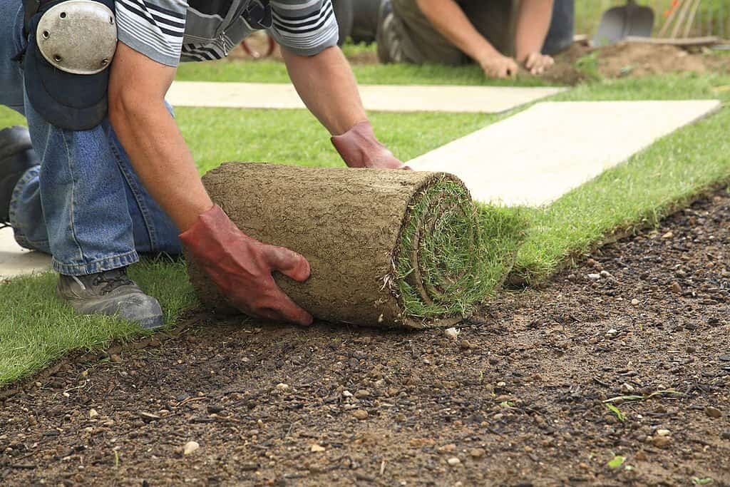 Sod installation protects your landscape design and hardscaping for year-round enjoyment